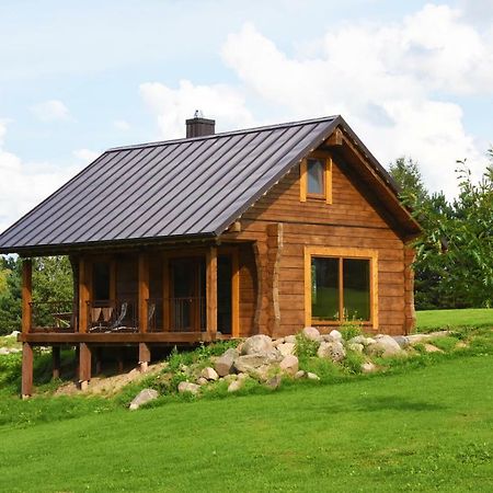 Anykščiai Vip Forest Dreams Villa מראה חיצוני תמונה