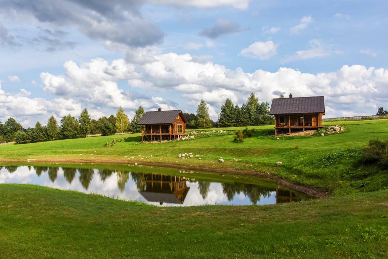 Anykščiai Vip Forest Dreams Villa מראה חיצוני תמונה